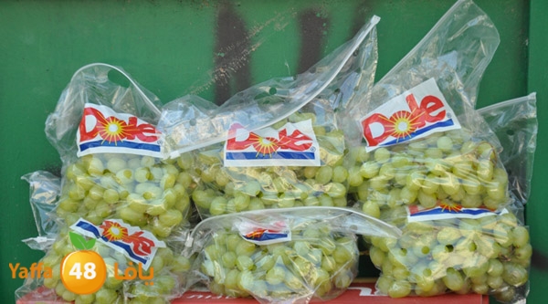 markaz khodare 3 (5).JPG